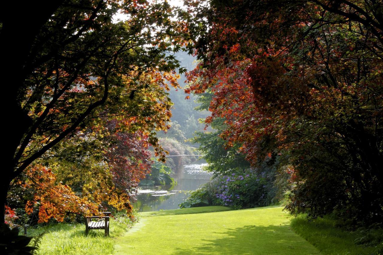 Riverside Holiday Homes Aughrim Eksteriør billede