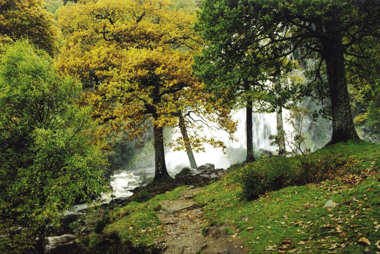 Riverside Holiday Homes Aughrim Eksteriør billede